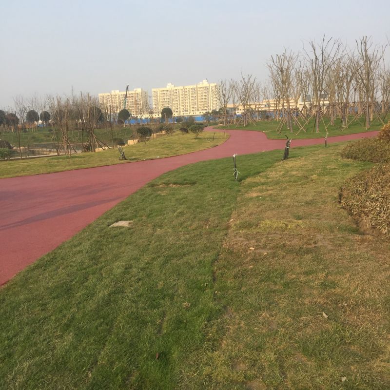 揚州億彩景觀工程有限公司